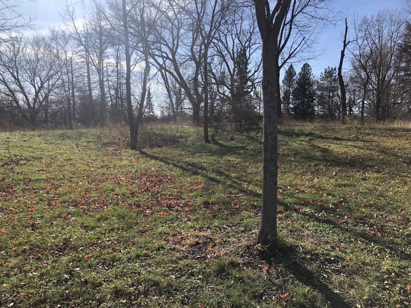 Property Photo:  Lot 8 Abbey Woods Drive  IL 60010 