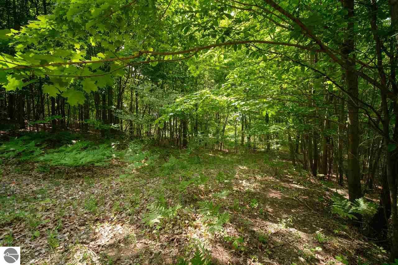 Property Photo: Arcadia Ridge Drive Parcel D MI 49613
