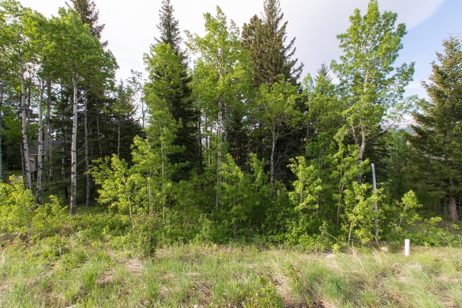 Property Photo:  7 Kananaskis Drive  AB T0K 0M0 