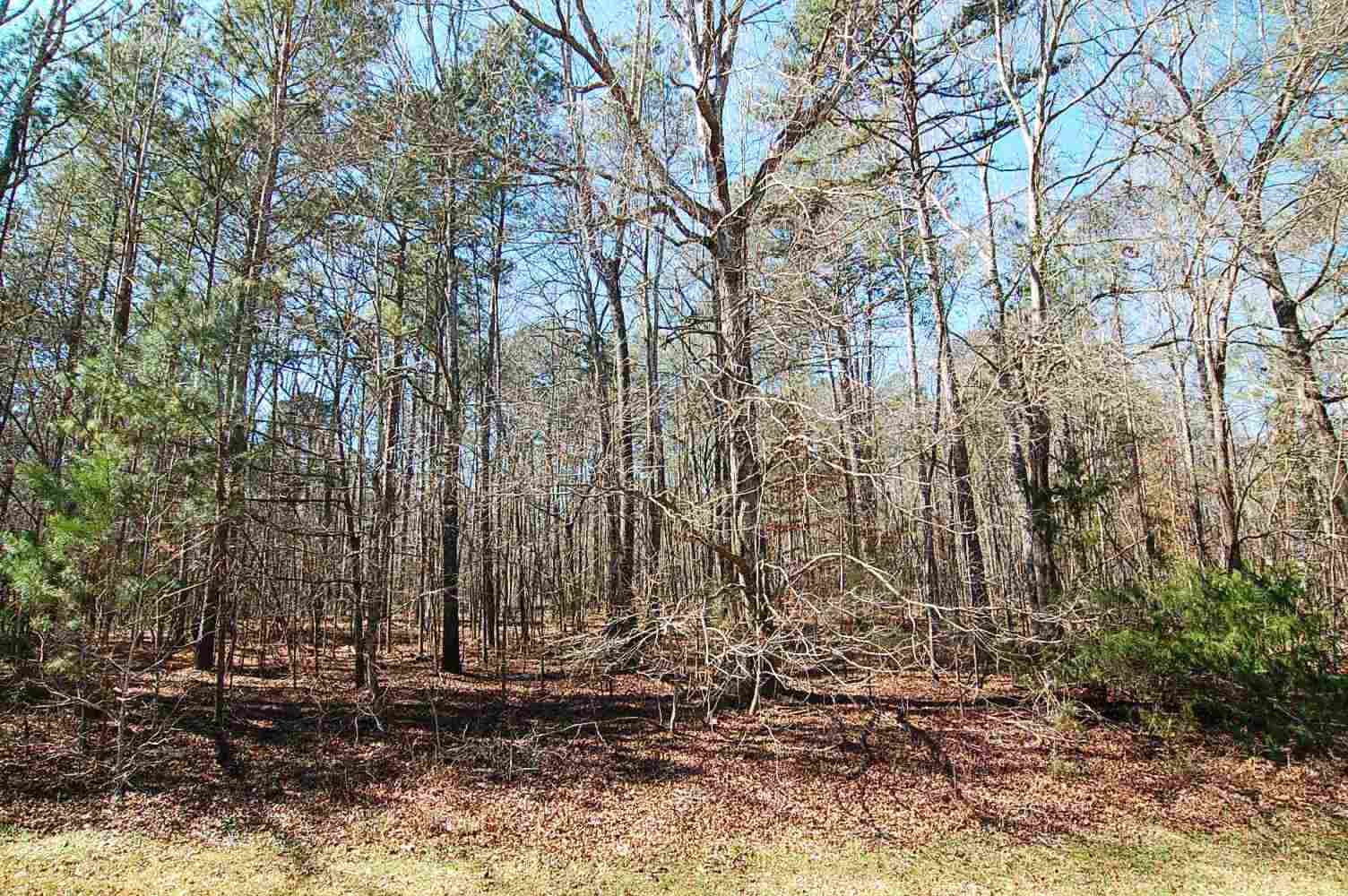 Property Photo:  Lot 54 Broadlands Drive  GA 31024 