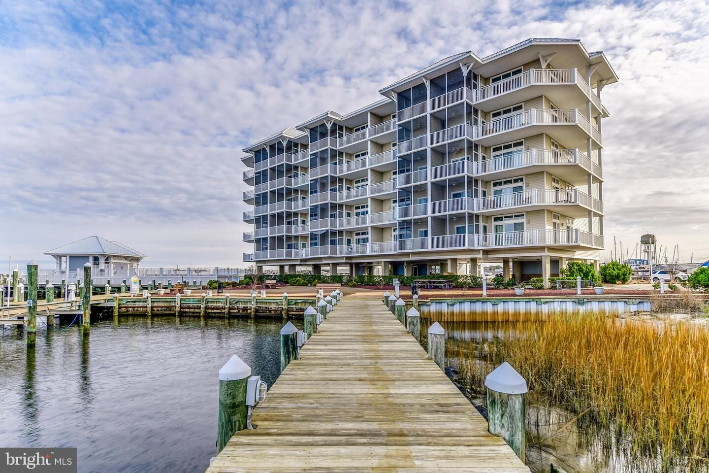 Property Photo: 101 Williams Street 202 MD 21817