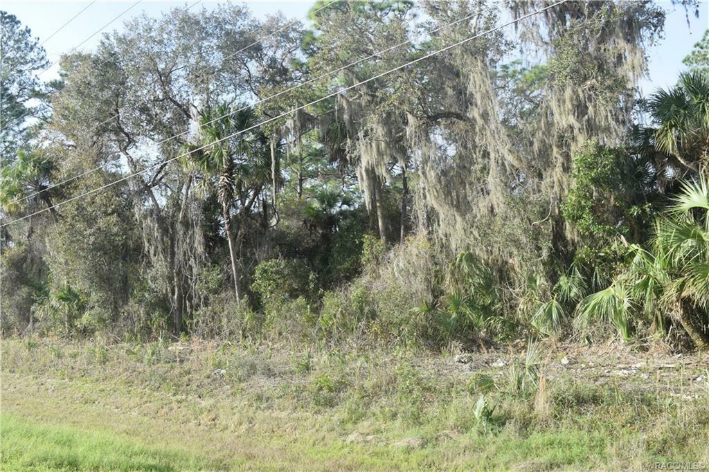 Property Photo:  5348 N Suncoast Boulevard  FL 34428 