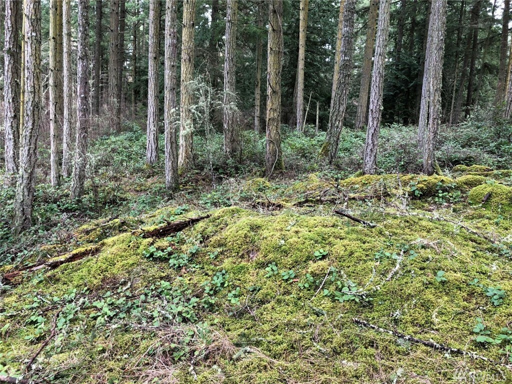 Property Photo:  2856 Roche Harbor Rd  WA 98250 