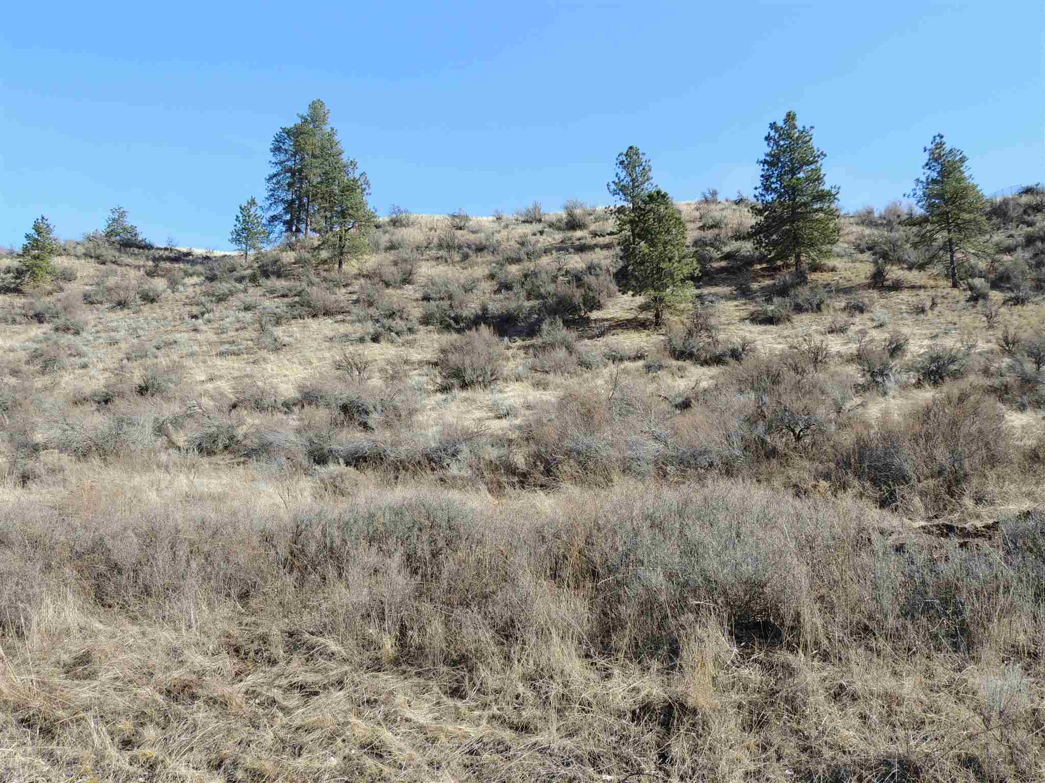 Property Photo:  42620 Buckhorn Dr N Lot 38  WA 99122 