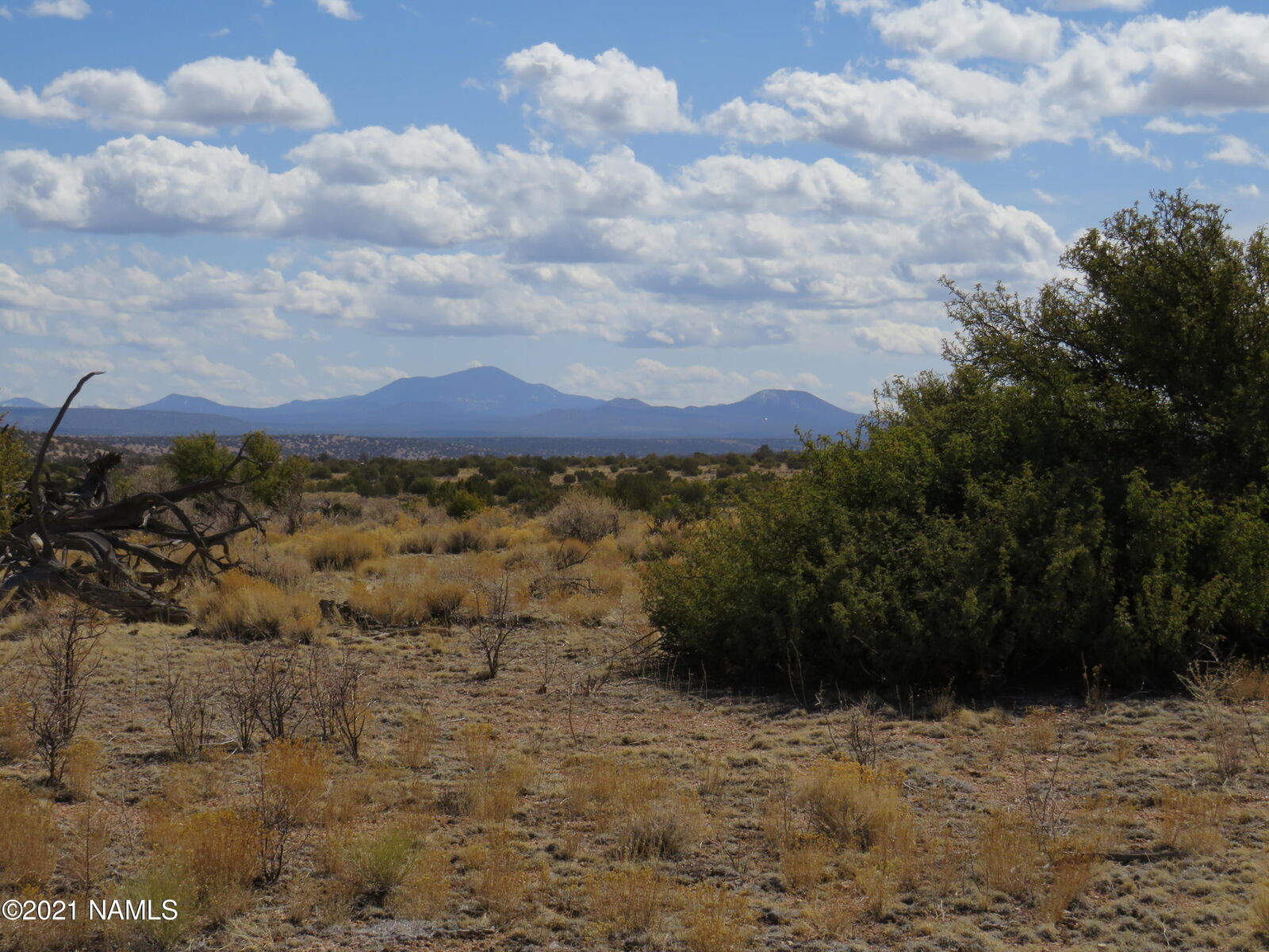 Property Photo:  10424 W Line Cook Trail  AZ 86046 