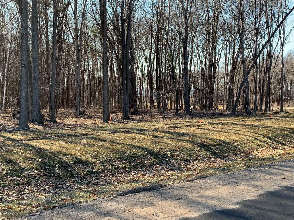 Property Photo: Lot 8 Cottonwood Circle WI 54701