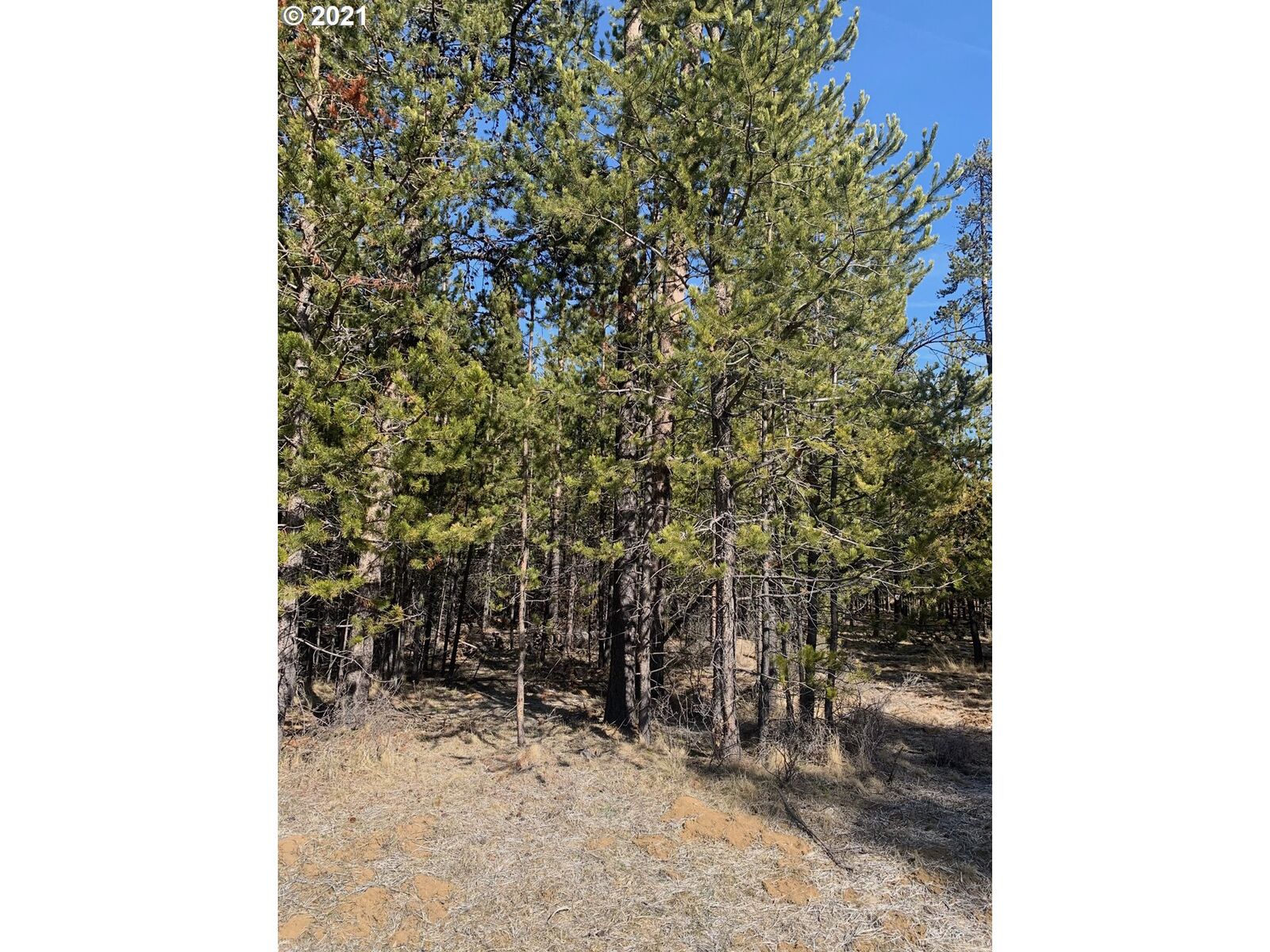 Property Photo: 56220 Sandpiper Rd OR 97707