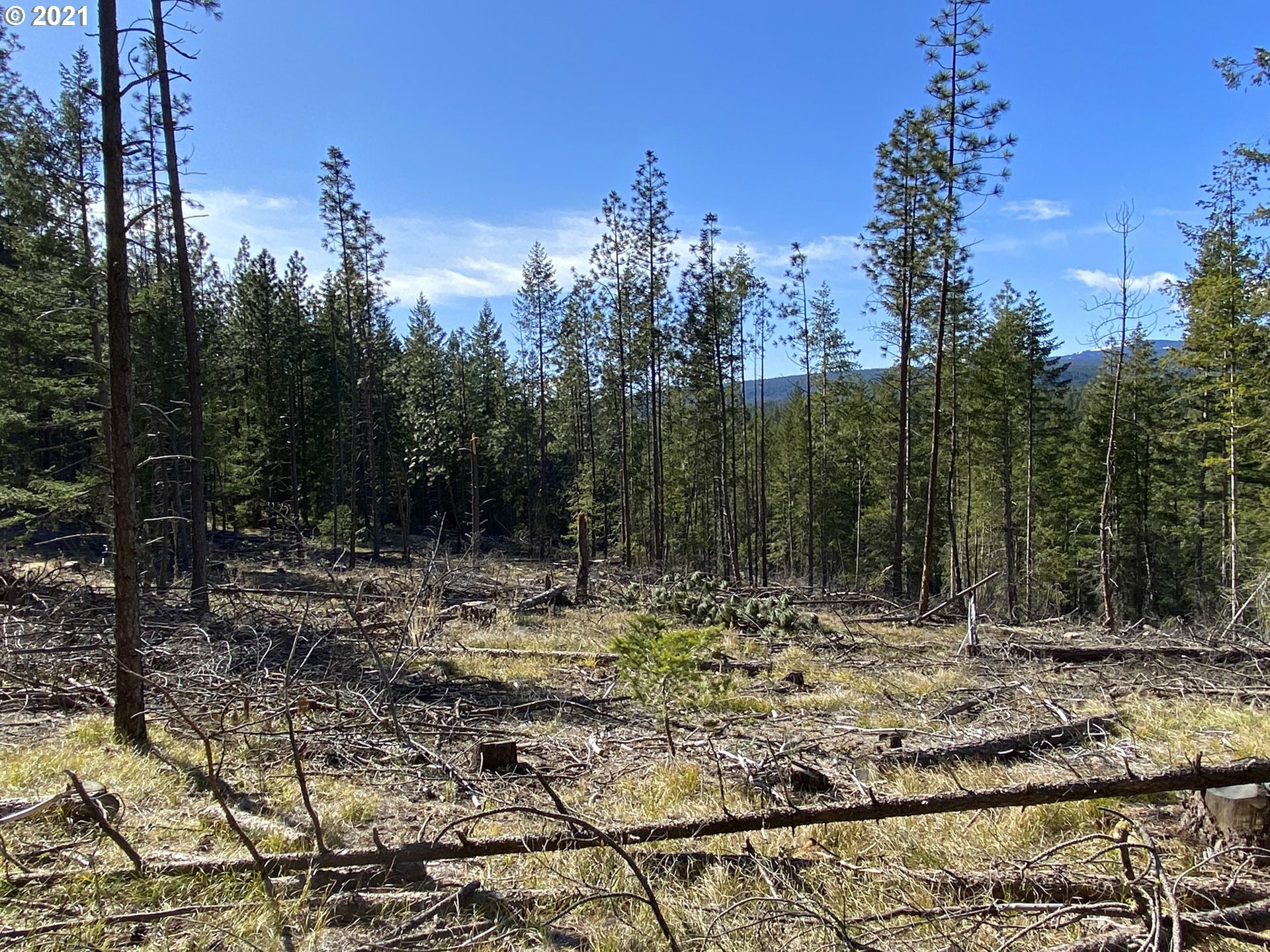 Property Photo:  Off Box Canyon Rd A-1  WA 98620 