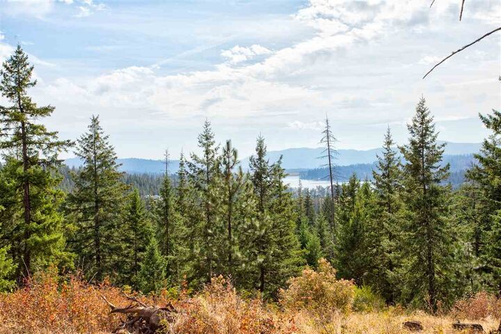 14301 N West Newman Lake Dr  Newman Lake WA 99025 photo