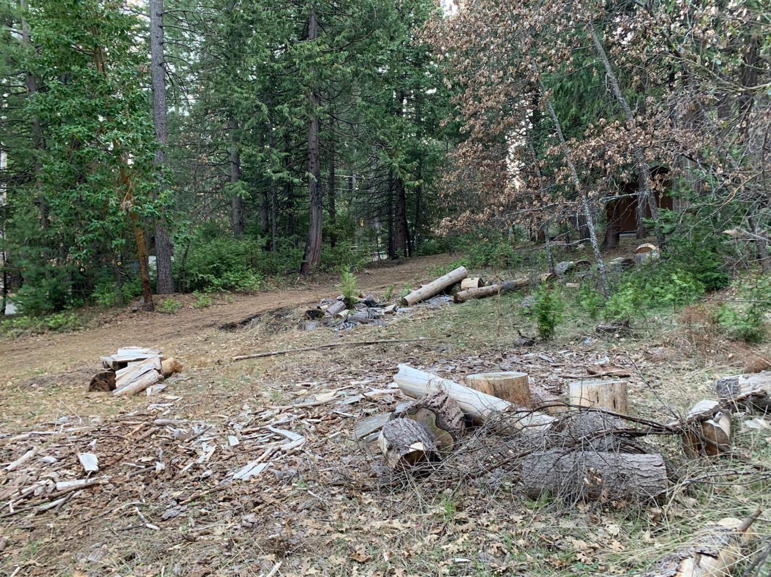 Property Photo:  6241 Speckled Road  CA 95726 