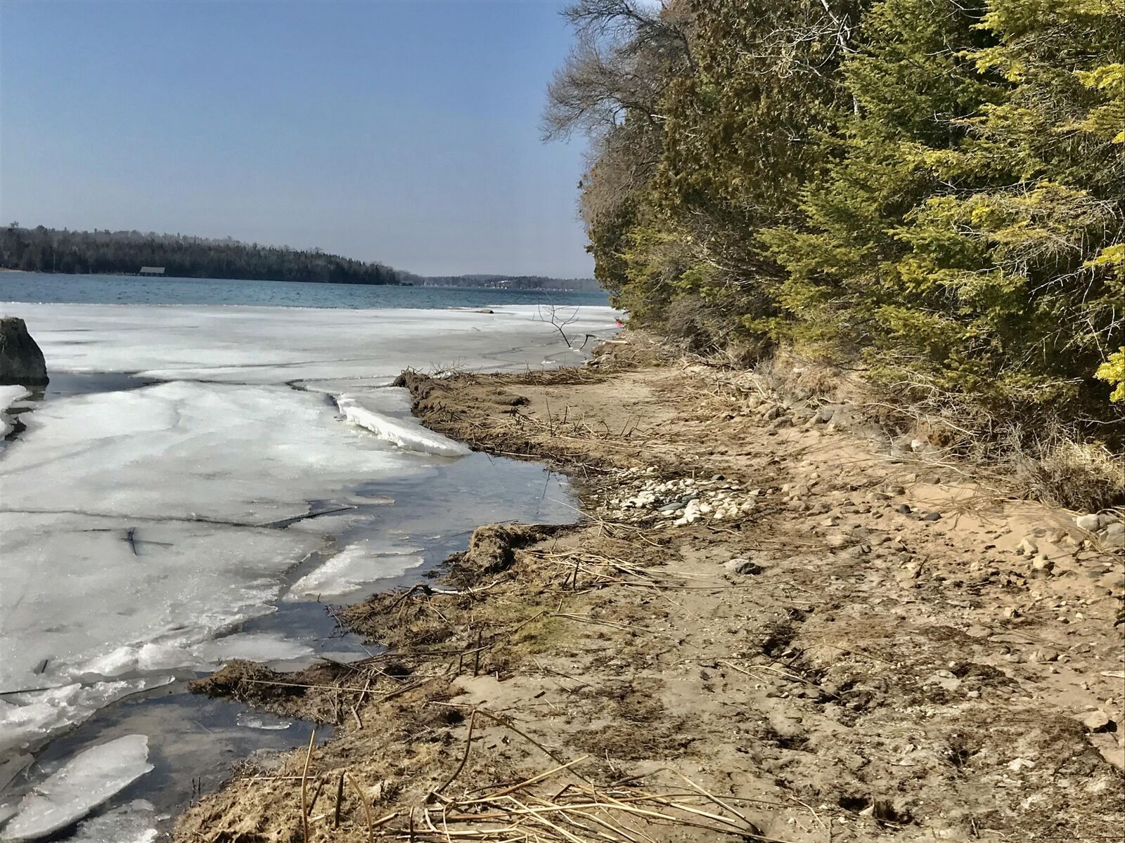 Property Photo:  1400 S Forest Ln  MI 49719 