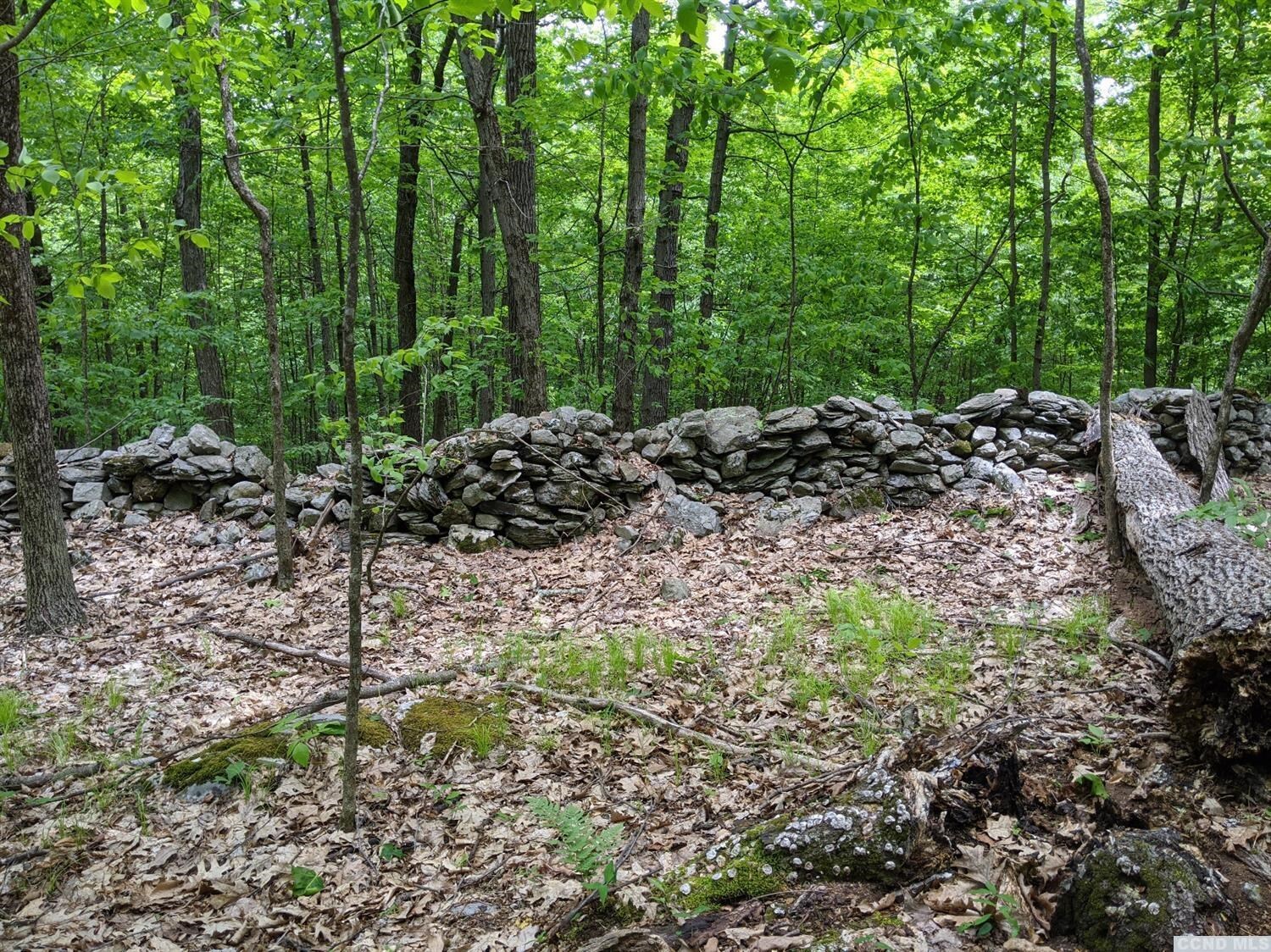 Property Photo: 0 Snydertown Road NY 12521