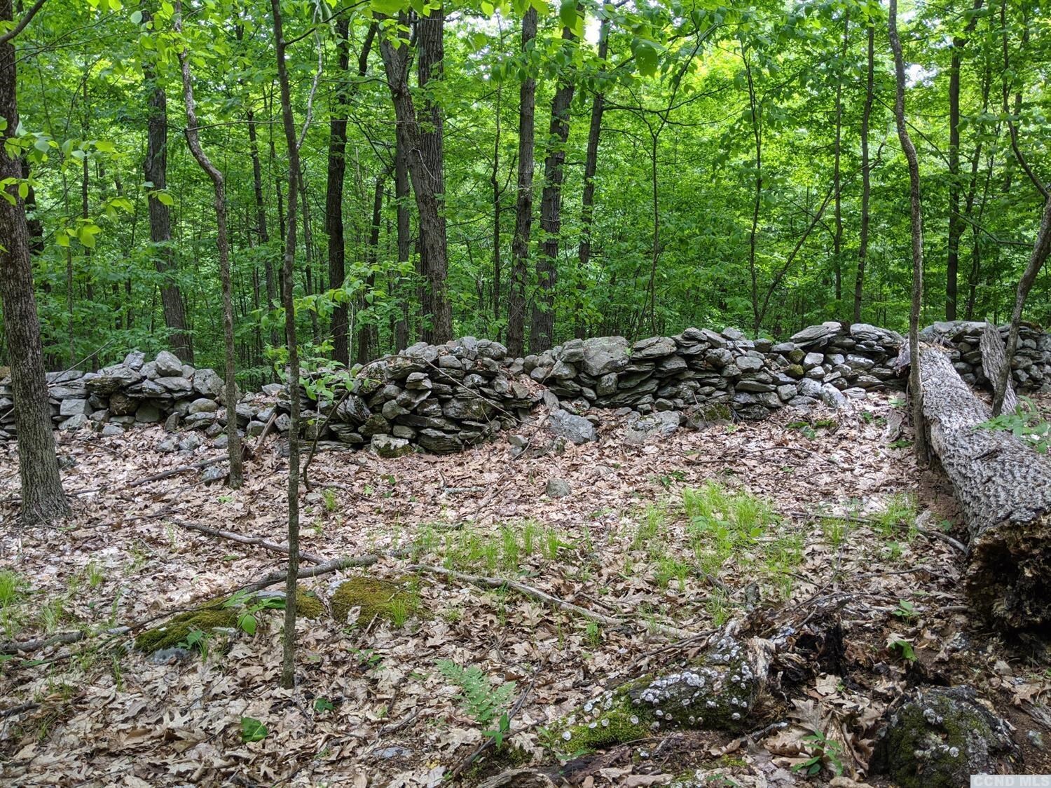 Property Photo:  0 Snydertown Road  NY 12521 