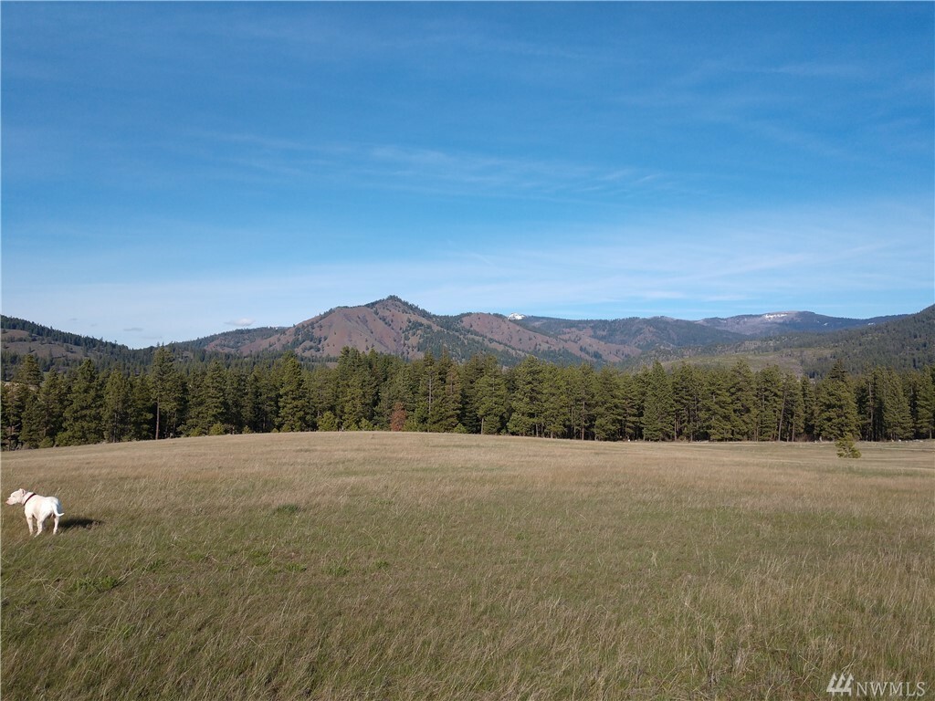 Property Photo:  Lot 18C Mountain Creek Dr  WA 98922 