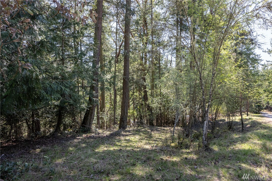 Property Photo:  0 Hilltop Wy  WA 98261 