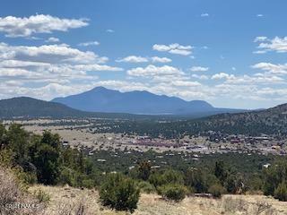 Property Photo:  1529 E Sagebrush Road  AZ 86046 