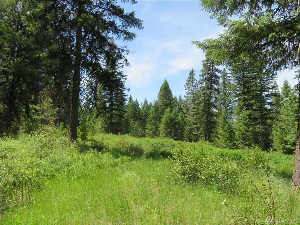 MLS#1763831: Tbd Boulder Creek Rd, Curlew, WA 99118