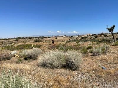 Property Photo: 8595 Cantel Court CA 92344