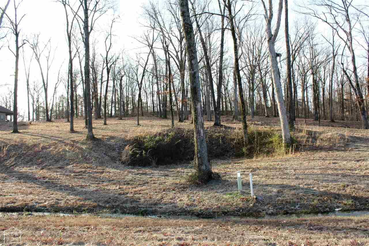 Property Photo:  Lot 11 Phase 1 Diamond Valley Estates  AR 72404 