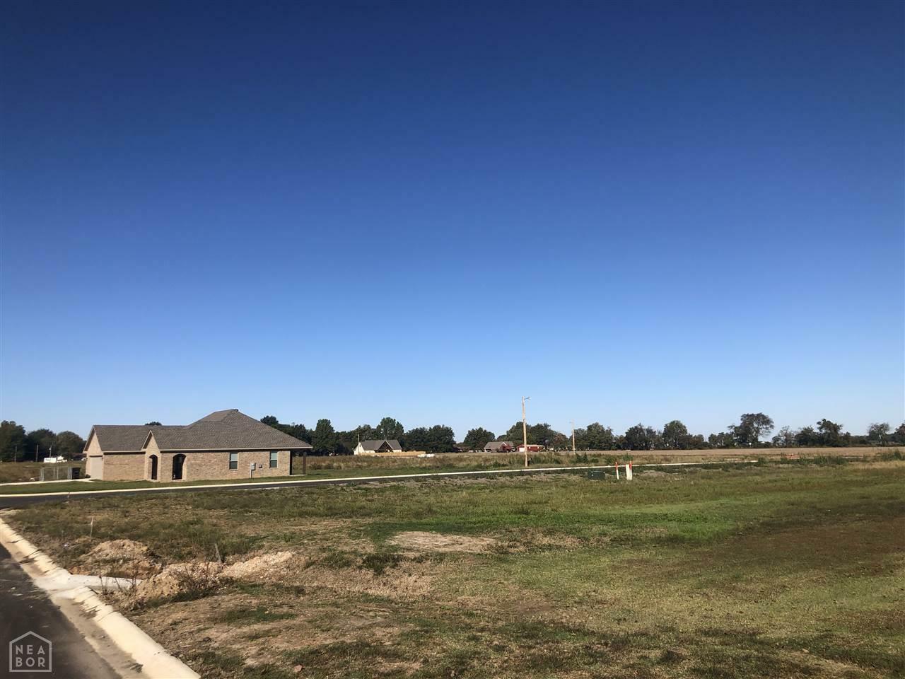 Property Photo:  Lot 9 Stella  AR 72472 