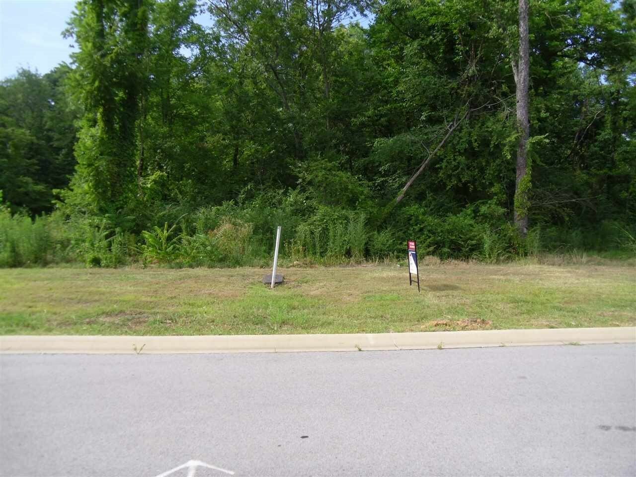 Property Photo:  Lot 3 Lilac Garden Drive  AR 72401 