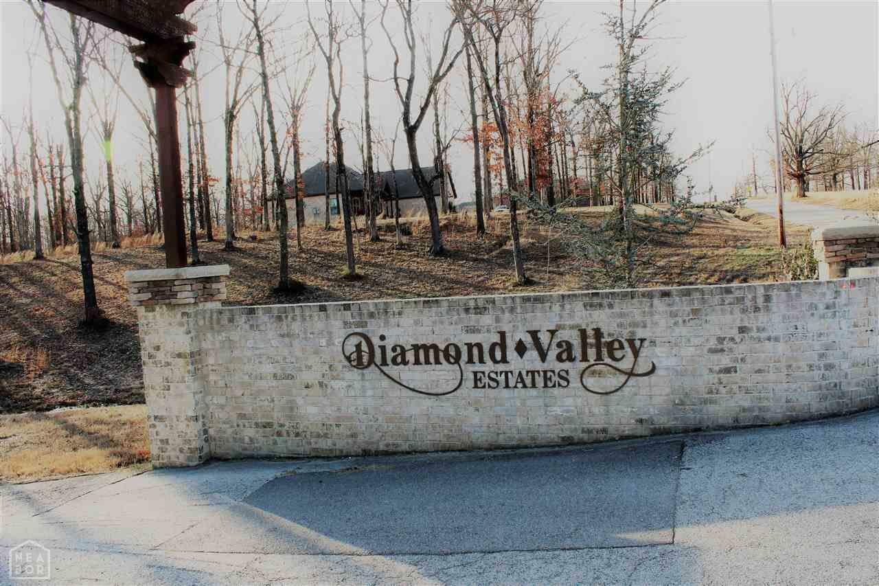 Property Photo:  Lot 13A Diamond Valley Estates  AR 72404 