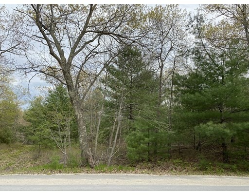 Property Photo: 384 Mountain St MA 02067