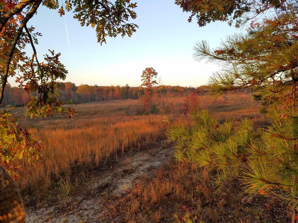 Property Photo:  40.5ac Genito Road  VA 23955 