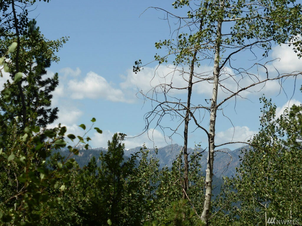 Property Photo:  Lot 312 Trillium Rd  WA 98862 