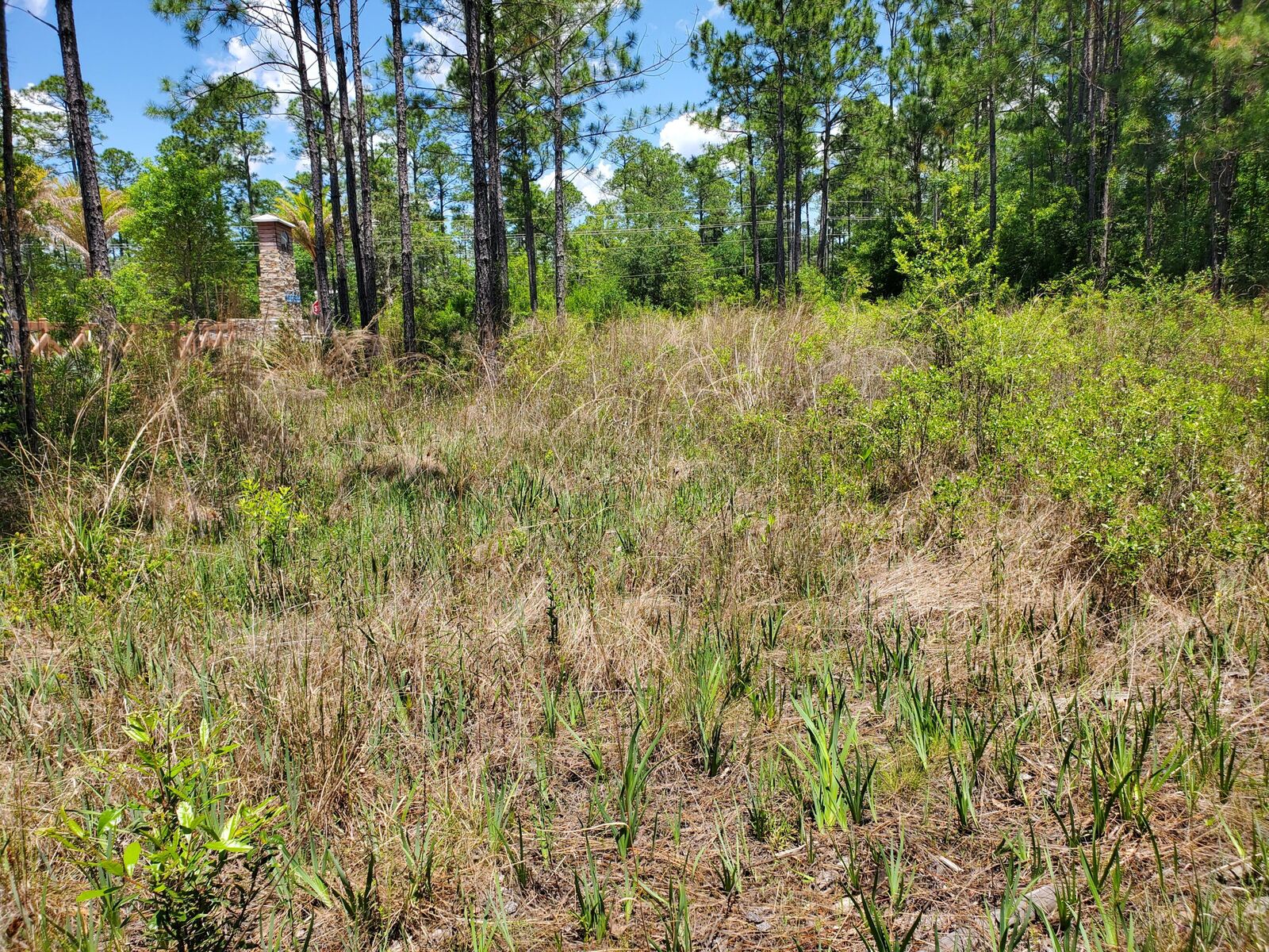 Property Photo:  Lot 9 Bear Creek  FL 32439 