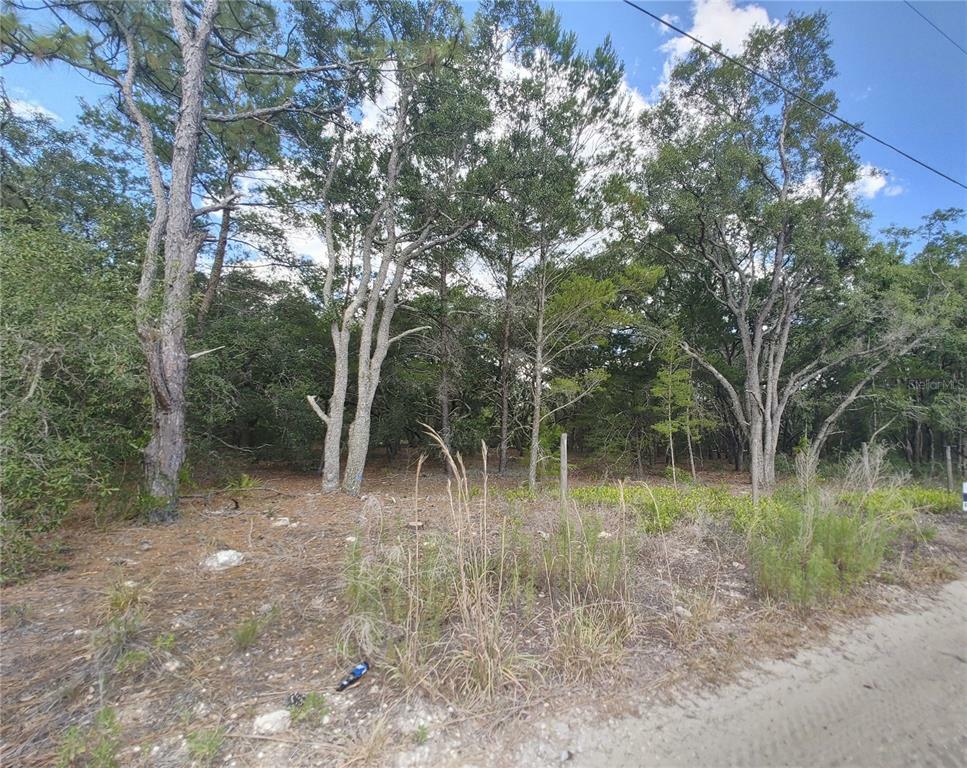 Property Photo:  02 Elliott Lane  FL 34667 