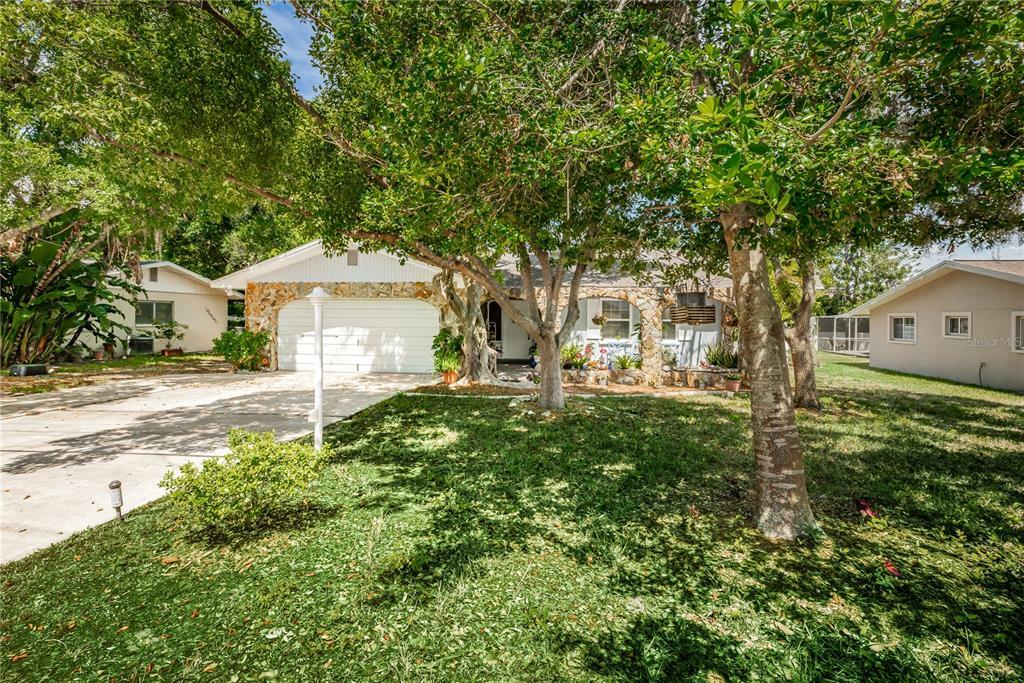 Property Photo:  850 Riverside Drive  FL 34689 