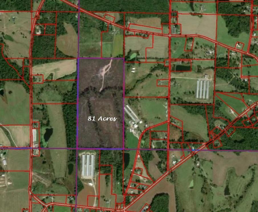 Property Photo: 0000 County Road 141 AL 35981