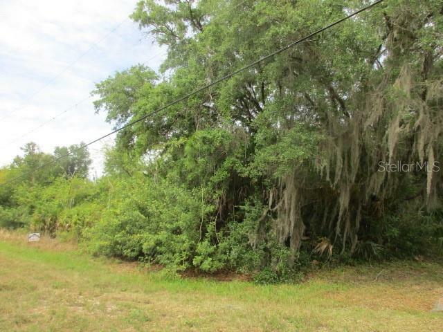 Property Photo:  14527 Hope Avenue  FL 33953 