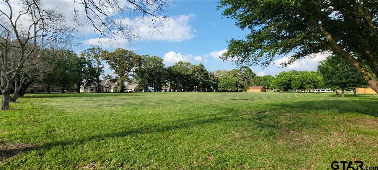 Property Photo:  Lot 118 Cr 4202  TX 75758 