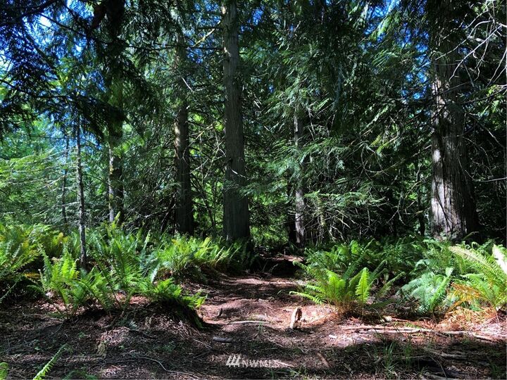 Property Photo: 9999 Deer Park Road WA 98362