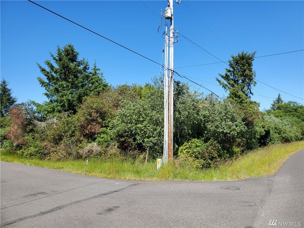 Property Photo:  894 Wawona Ave SW  WA 98569 