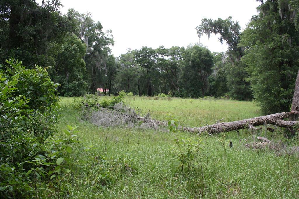 Property Photo:  510 Glenwood Road  FL 32720 