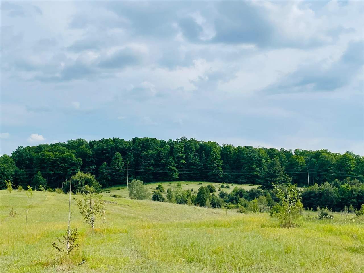 Property Photo: 09646 Bailey MI 49727