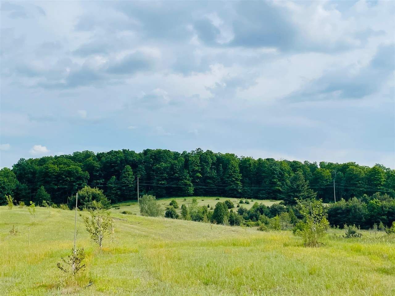 Property Photo: 09646 Bailey MI 49727