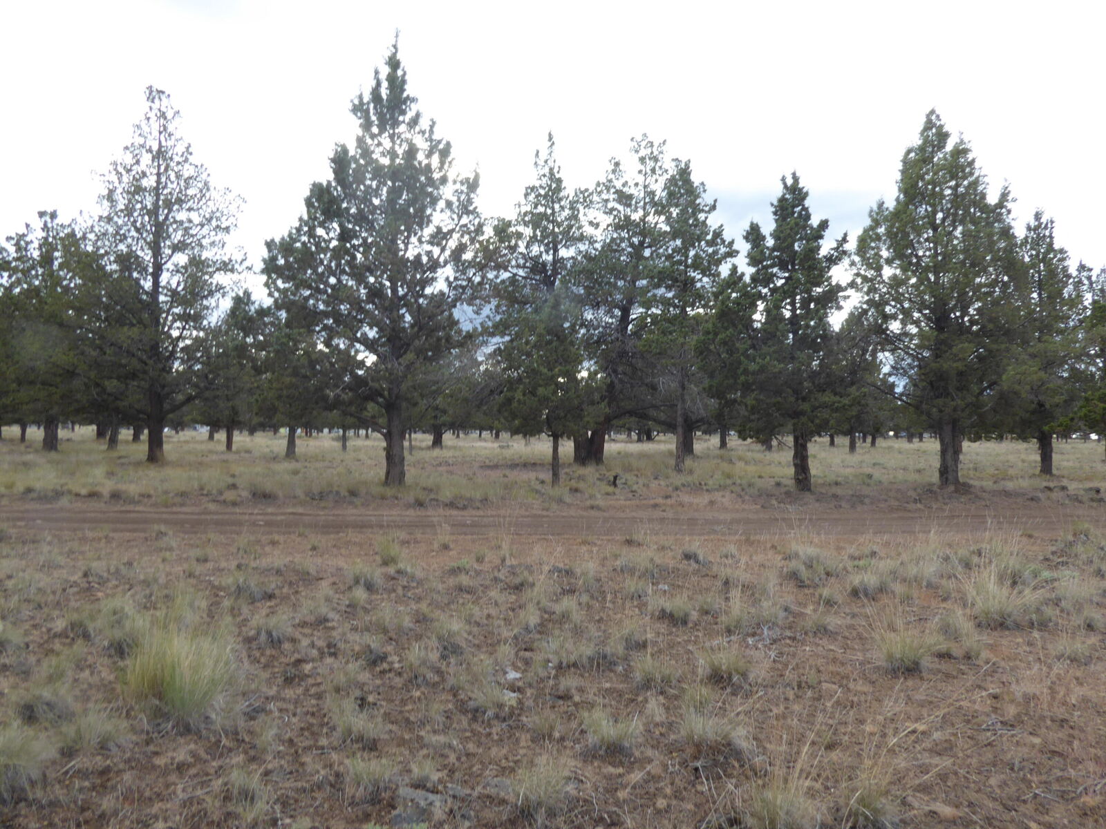 Property Photo:  Parcel 2 SW Jordan Road  OR 97734 