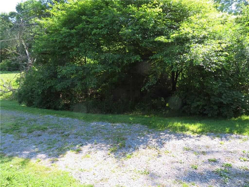 Property Photo:  0 County Road 49 Road  NY 14717 