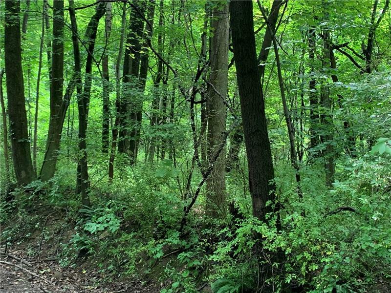 Lot 1 Skyline Drive  Merceer PA 16137 photo