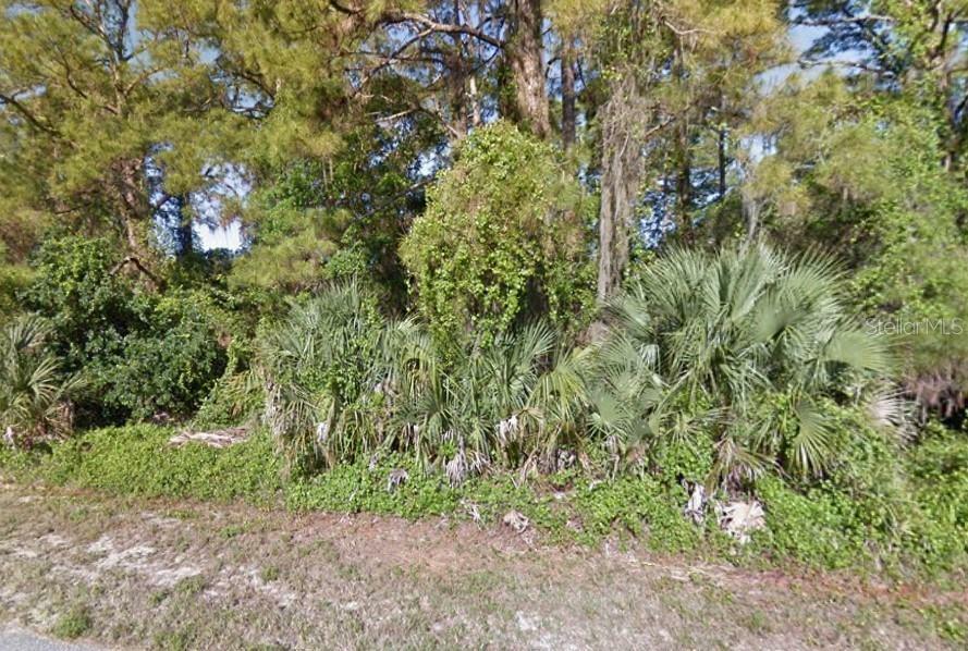 Property Photo:  207 Troutdale Street  FL 33954 