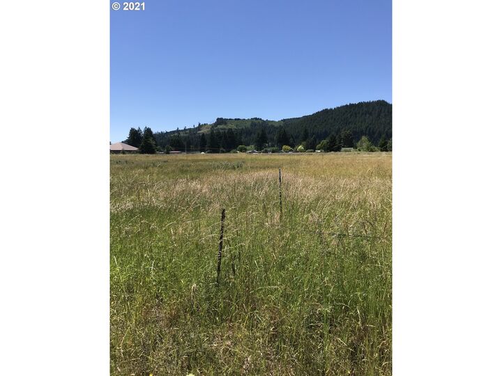 Annie Meadows Lot 3  Carson WA 98610 photo