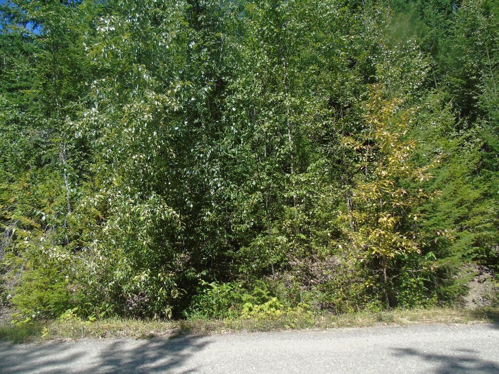 Property Photo:  349 Anglemont Way  BC V0E 1M8 
