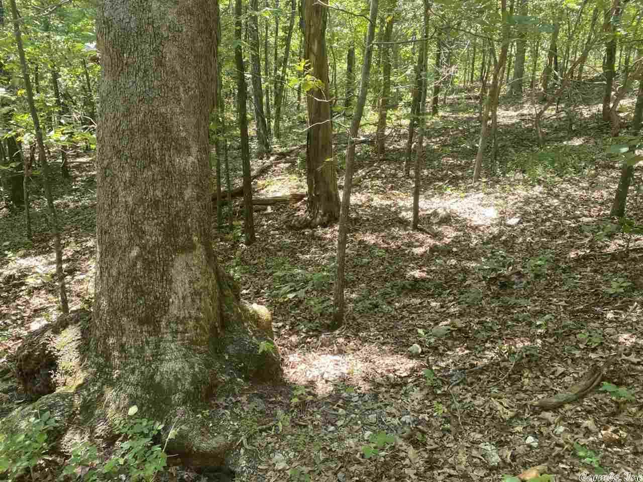 Property Photo: 000 Creekside Trail AR 72554