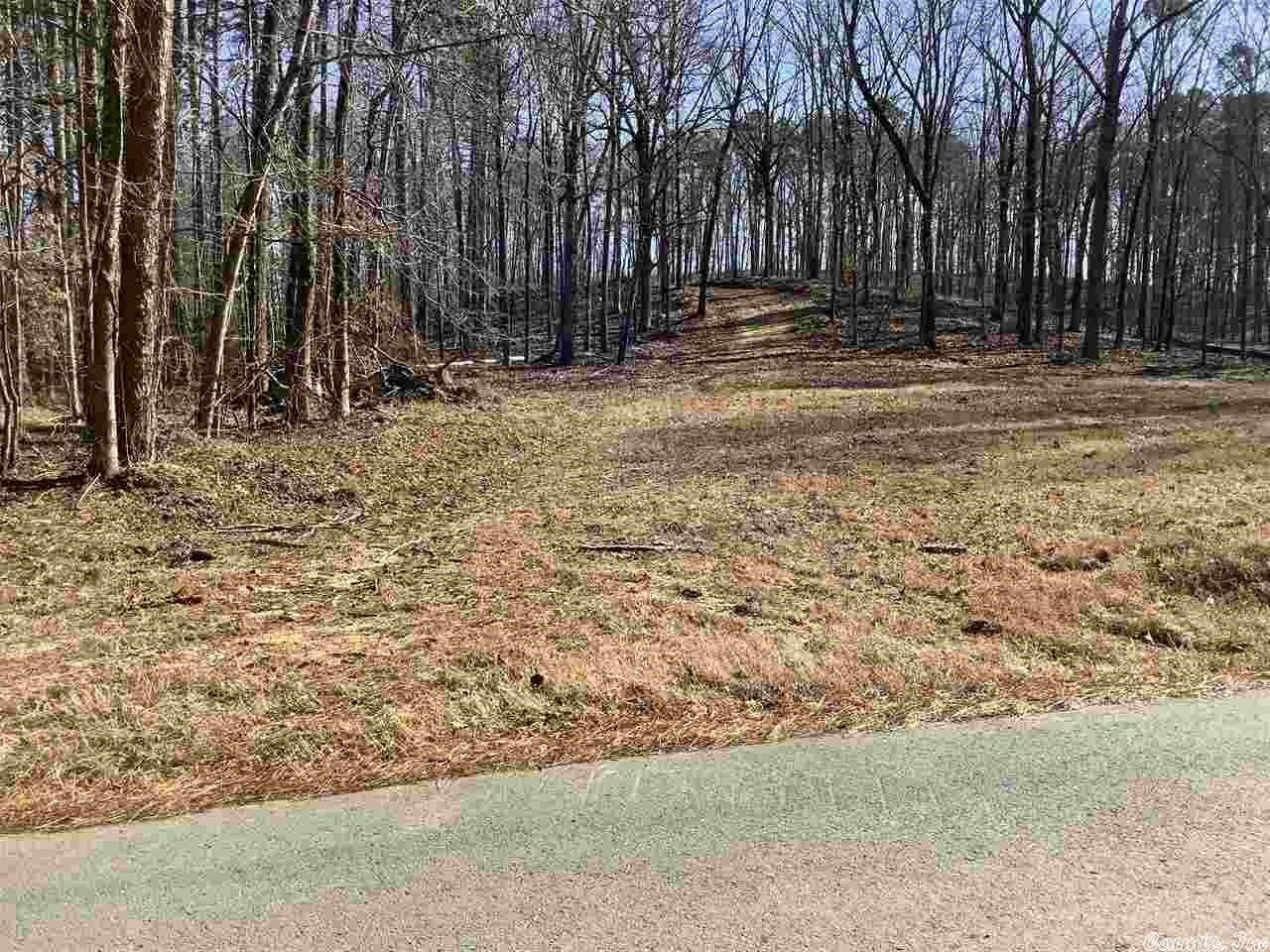 Property Photo: 0 Dixie Lane AR 72019