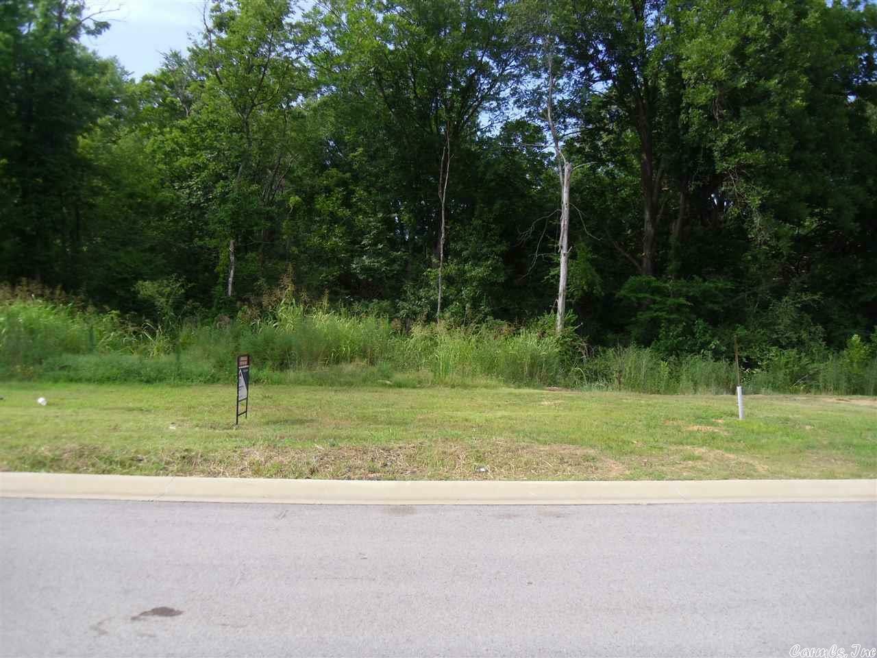 Lot 4 Lilac Garden Drive  Jonesboro AR 72401 photo