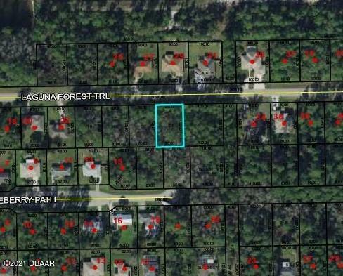 30 Laguna Forest Trail  Palm Coast FL 32164 photo